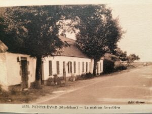 Le figuier de Penthievre