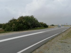 figuier penthievre actuel