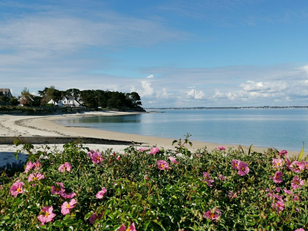 Port d'Orange : origine du nom